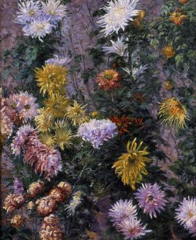 Gustave Caillebotte : White and Yellow Chrysanthemums Garden at Petit Gennevilliers